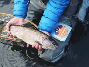 Fishing | Рыбалка