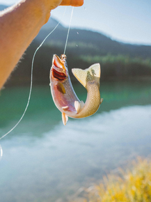 Fishing | Рыбалка