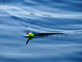 Fishing | Рыбалка
