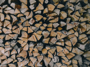 Wood | Древесина