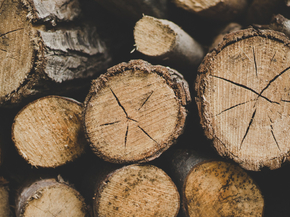 Wood | Древесина