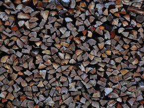Wood | Древесина