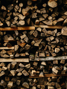 Wood | Древесина