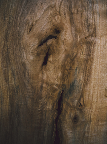 Wood | Древесина