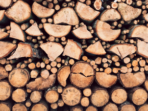 Wood | Древесина