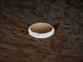 Wood | Древесина