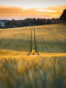 Field | Поле