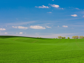 Field | Поле
