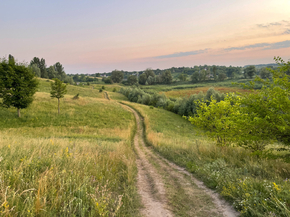 Field | Поле