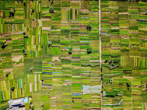 Field | Поле