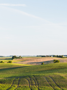 Field | Поле
