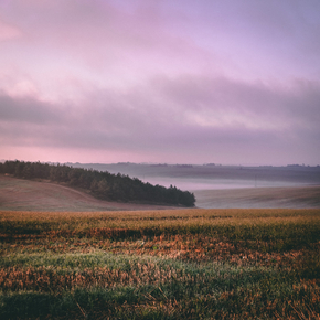 Field | Поле