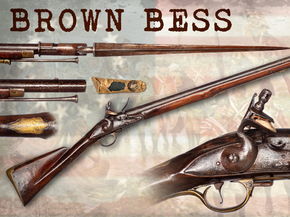 Brown Bees