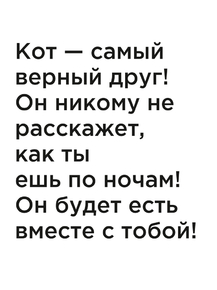 Мотивация (цитаты) | Кот — самый верный друг! Он никому не расскажет