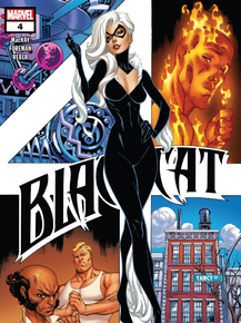 Black Cat | Чёрная кошка