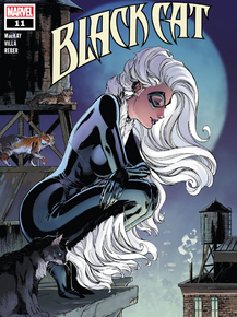 Black Cat | Чёрная кошка