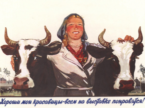 Хороши мои красавицы - всем на выставке понравится