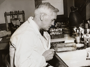 Alexander Fleming | Александр Флеминг