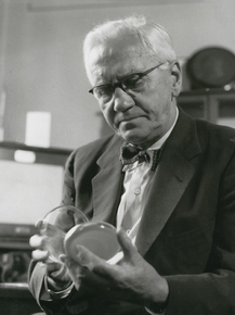 Alexander Fleming | Александр Флеминг