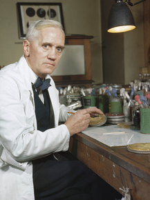 Alexander Fleming | Александр Флеминг