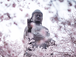 Buddha | Будда