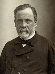 Louis Pasteur | Луи Пастер Louis Pasteur | Луи Пастер