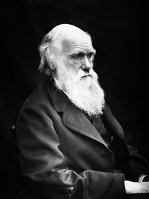 Charles Darwin | Чарльз Дарвин