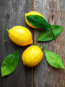 Lemons | Лимоны