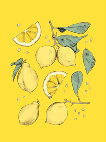 Lemons | Лимоны