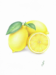 Lemons | Лимоны