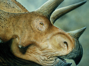 Dinosaur | Динозавр