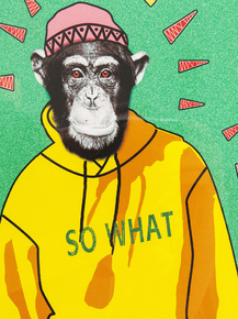 Monkey - So What | Обезьяна