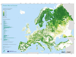 Forest Map Of Europe | Карта Лесов Европы