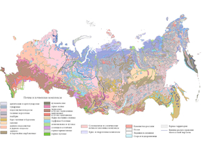 Почвы и почвенные комплексы России