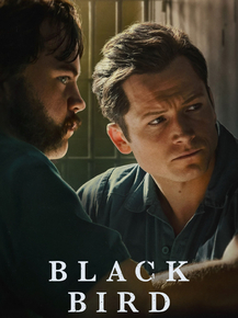 Black Bird | Чёрная птица