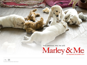 Marley & Me | Марли и я