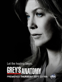 Grey's Anatomy (Коллекция постеров) | Анатомия страсти