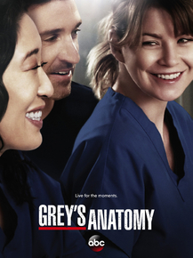 Grey's Anatomy | Анатомия страсти