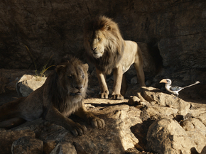 Lion King | Король Лев