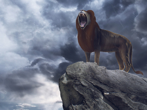 Lion King | Король Лев