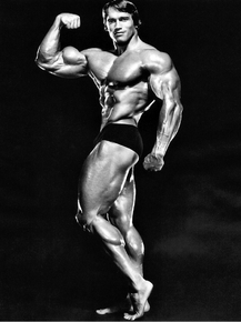 Arnold Schwarzenegger | Арнольд Шварценеггер
