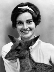 Audrey Hepburn | Одри Хепбёрн