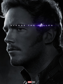 Avengers: Endgame Collection (Коллекция постеров) | Мстители: Финал | Звёздный л..