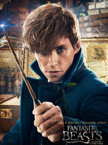 Fantastic Beasts | Фантастические твари и где они обитают