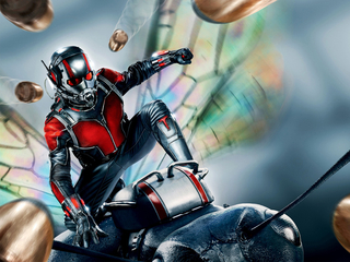Категория постеров и плакатов Ant-man