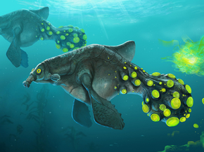 Subnautica