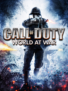 Call Of Duty: World at War