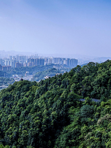 Chongqing (Модульные постеры) - 5 | Чунцин