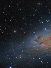 The Umbrella Galaxy (Модульные постеры) - 1 | Галактика Амбрелла
