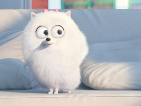 The Secret Life of Pets | Тайная жизнь домашних животных